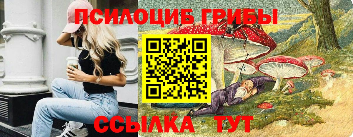 купить   Галлюциногенные грибы GOLDEN TEACHER  Вход с VPN  Дзержинск 